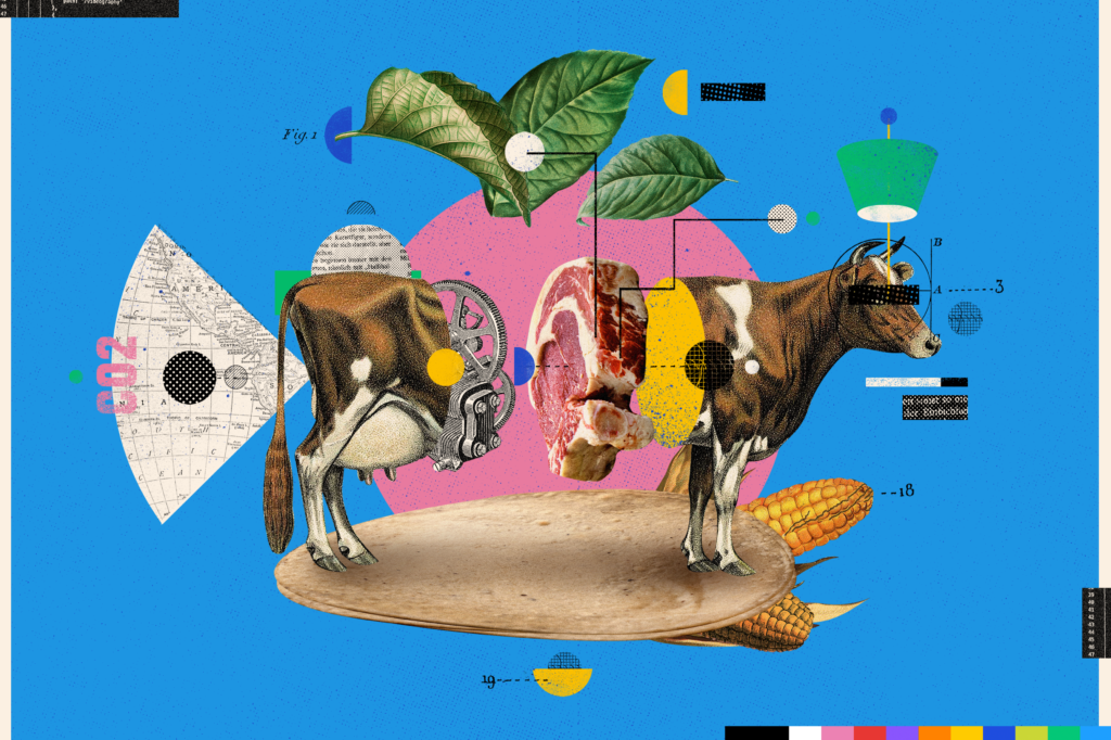 imagen conceptual: una vaca partida a la mitad con un bistec en medio